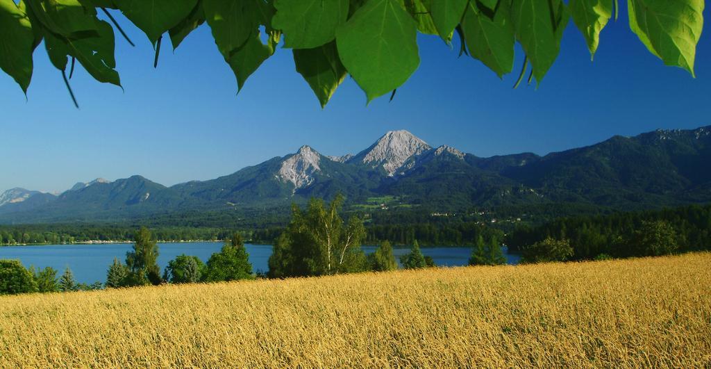 Gaestehaus Lutschounig ฟาคอัมซี ภายนอก รูปภาพ